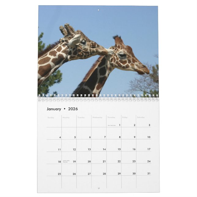 Kalender der Giraffen-2009 (Jan 2026)