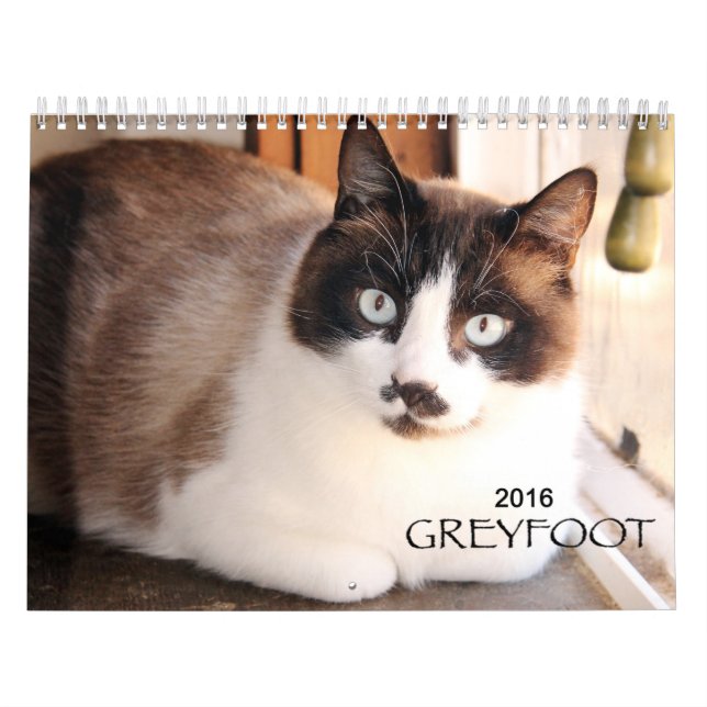 Kalender der Greyfoot Katzen-Rettungs-2016 (Titelbild)