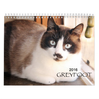 Kalender der Greyfoot Katzen-Rettungs-2016