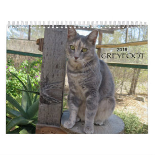 Kalender der Greyfoot Katzen-Rettungs-2018