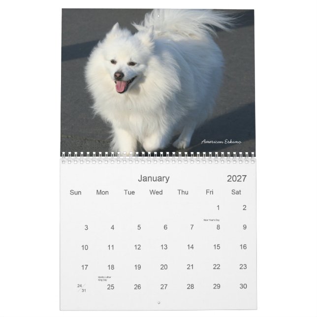 Kalender der Hund2011 (Jan 2027)