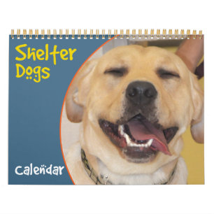 Kalender der Hunde der Unterbringung