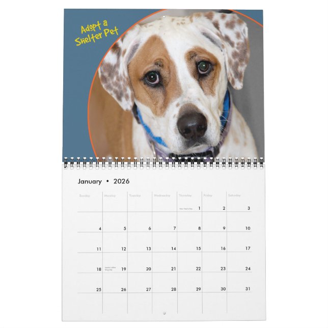 Kalender der Hunde der Unterbringung (Jan 2026)