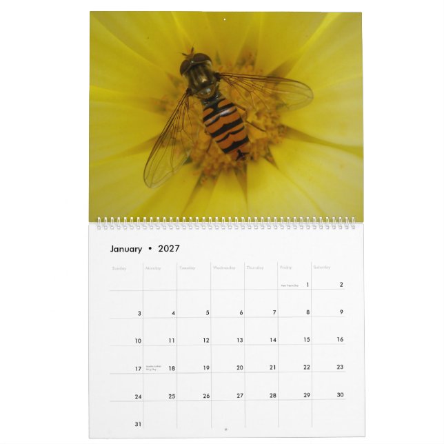 Kalender der Insekten-2015 (Jan 2027)