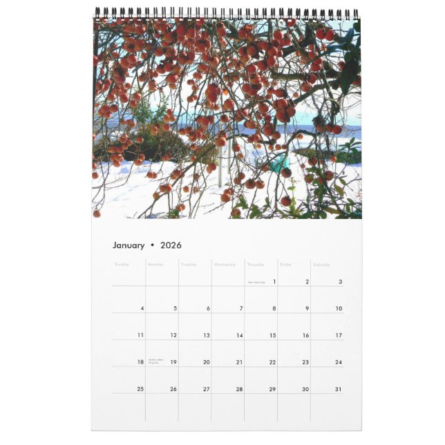 Kalender der japanischen Landschaft (Jan 2026)