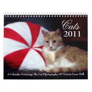Kalender der Katzen-2011