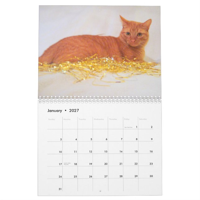 Kalender der Katzen-2011 (Jan 2027)