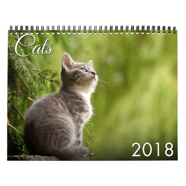 Kalender der Katzen-2018 und des Kätzchens (Titelbild)