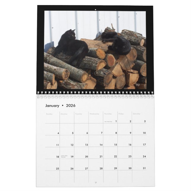 Kalender der Katzen-Liebhaber-2014--Edit-JAHR, wie (Jan 2026)