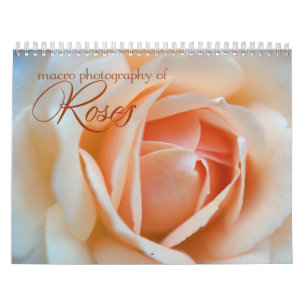 Kalender der MakroRosenblumenphotographie 2013