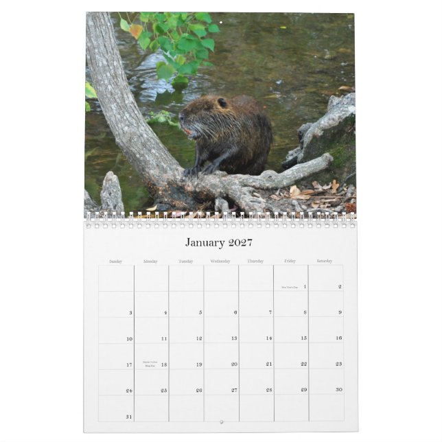 Kalender der Natur-2012 (Jan 2027)