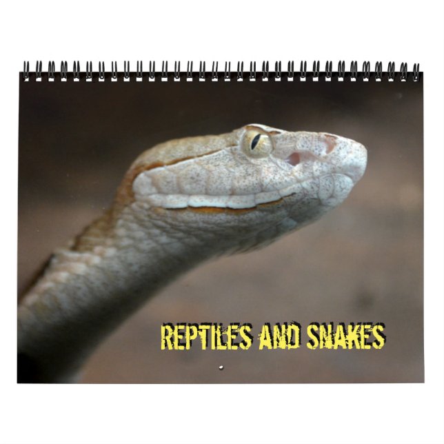 Kalender der Reptilien und Schlangen (Titelbild)