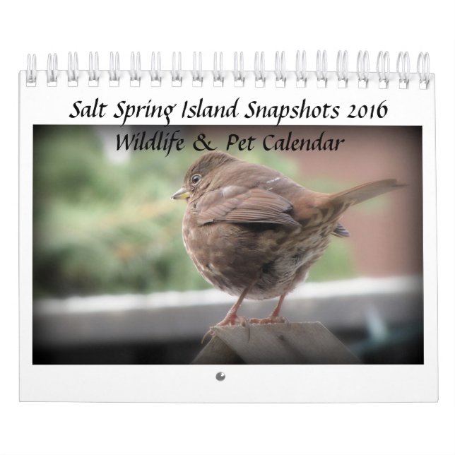 Kalender der Salz-Frühlings-Insel-Tier-2016 u. des (Titelbild)