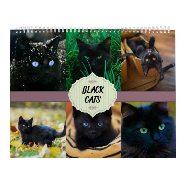 Kalender der Schwarzen Katzen (Titelbild)