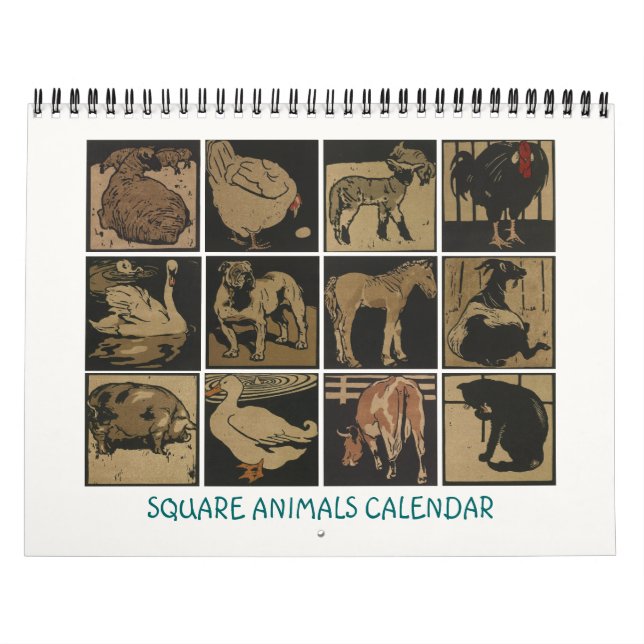 Kalender der Square Animals - Barnyard-Zeichnungen (Titelbild)