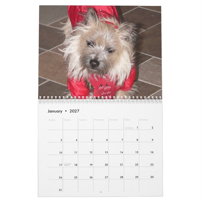 Kalender der Steinhaufen-Terrier-2011 (Jan 2027)