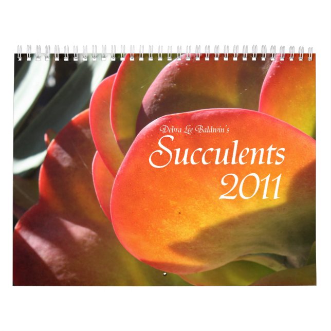 Kalender der Succulents 2011 (Titelbild)