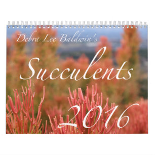 Kalender der Succulents-2016 durch Debra-Lee