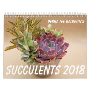 Kalender der Succulents-2018 durch Debra-Lee