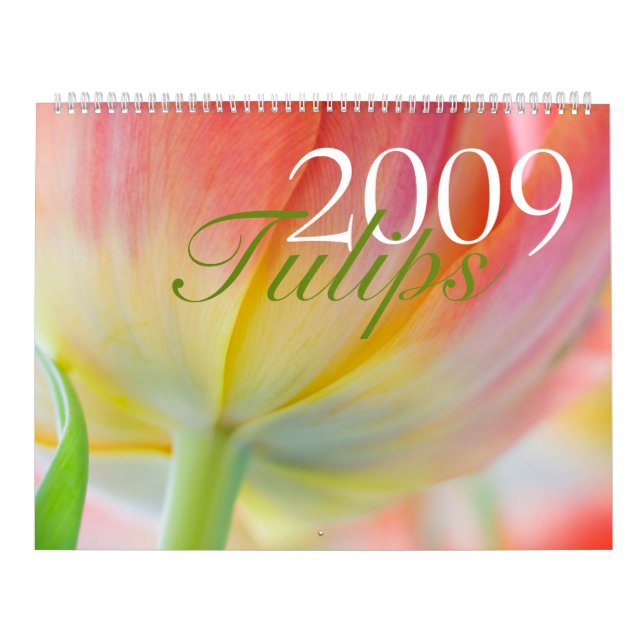 Kalender der Tulpe-2009 (Titelbild)