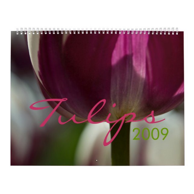 Kalender der Tulpe-2009 (Titelbild)