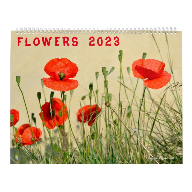 Kalender der verschiedenen Blume 2023 (Titelbild)