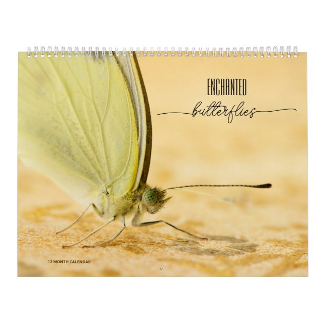 Kalender der verzauberten Schmetterlinge (Titelbild)