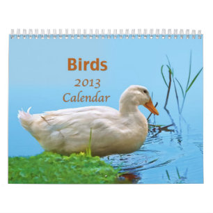 Kalender der Vogel-2013