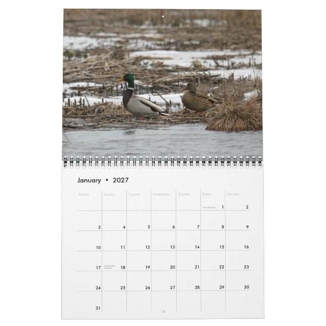 Kalender der Wasservogel-2011 (Jan 2027)