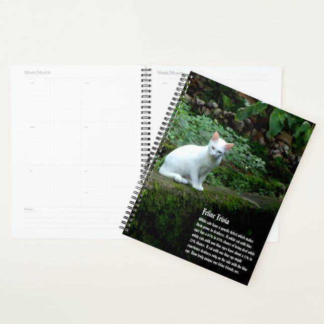 Kalender der weißen Katze Planer (Anzeige)