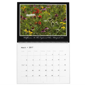 Kalender der Wildblumen-2017 durch Thomas Minutolo
