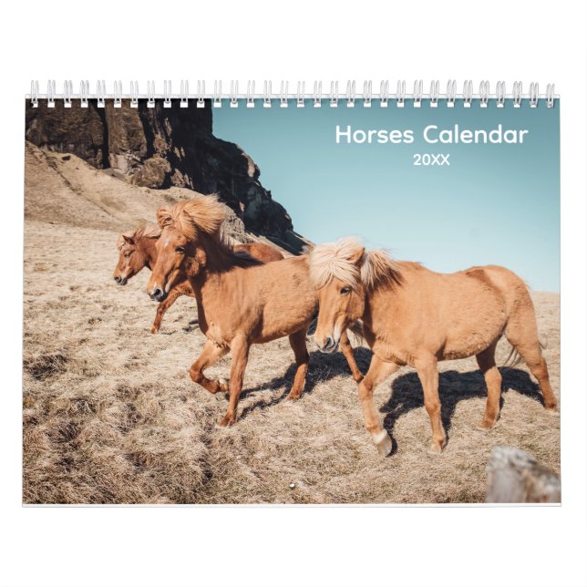 Kalender der Wilden Pferde (Titelbild)