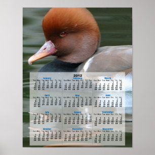 Kalender der Wildente 2013 Poster