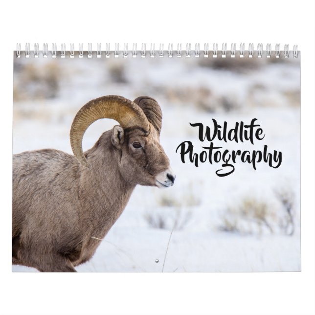 Kalender der Wildlife Fotografy (Titelbild)