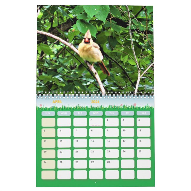 Kalender der Wildlife Fotografy