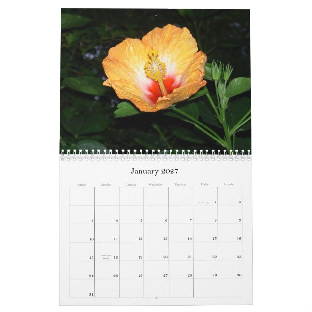 Kalender des Blumen-Garten-2010 (Jan 2027)