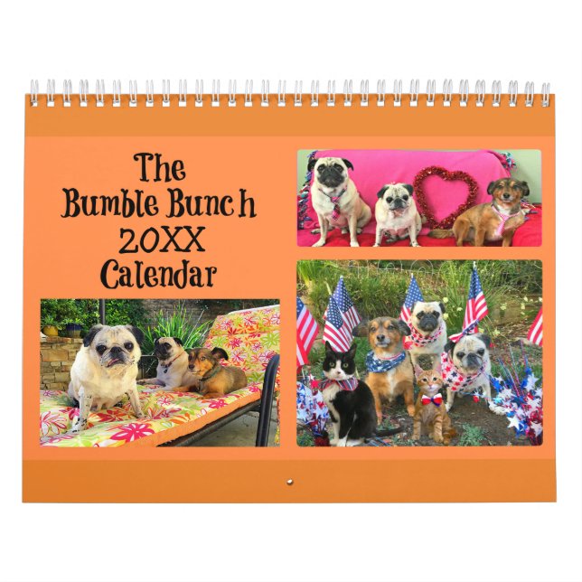 Kalender des Hummel-Bündel-2019 (Titelbild)