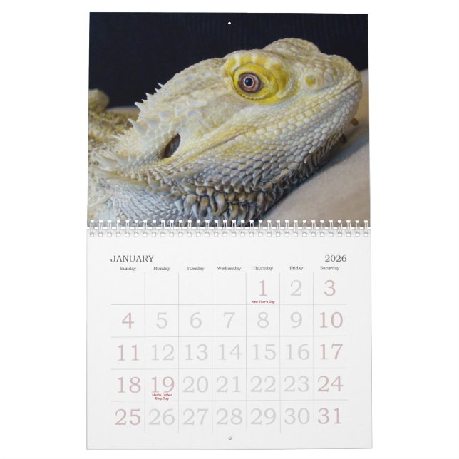 Kalender des Jaspis-2009 (Jan 2026)