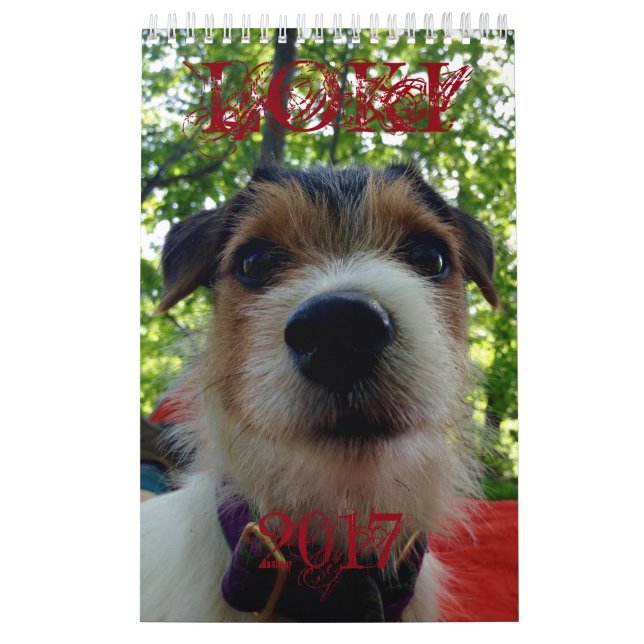 Kalender des Loki-2017 (Titelbild)