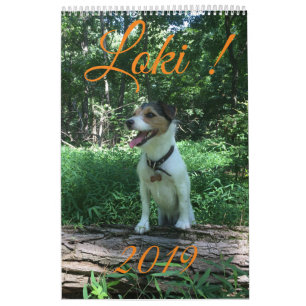 Kalender des Loki 2019