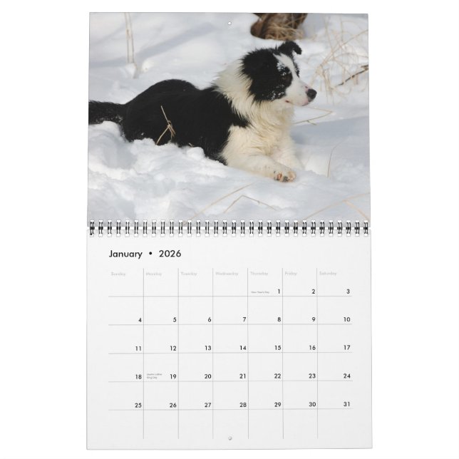 Kalender des Michigan-GrenzCollies-2012 (Jan 2026)
