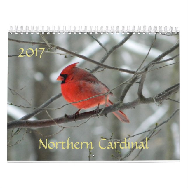 Kalender des nördlichen Kardinals (Titelbild)