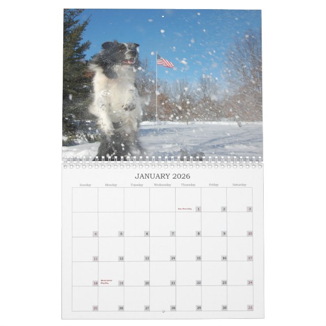 Kalender des RiverRun GrenzCollies-2012 (Jan 2026)