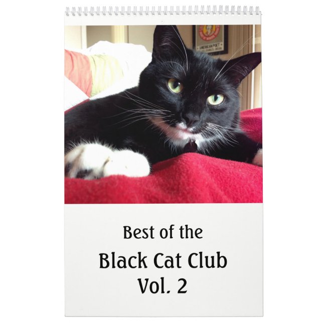 Kalender des schwarze Katzen-Verein-Vol. 2 (Titelbild)