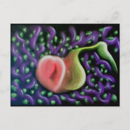 Kalender des Souls 37 Postkarte