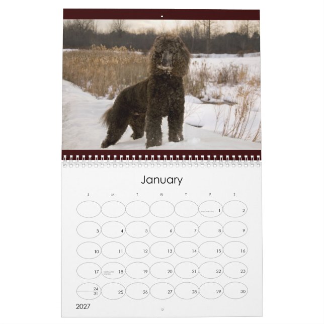 Kalender des Standardpudel-2011 (Jan 2027)