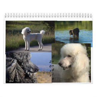 Kalender des Standardpudel-2011