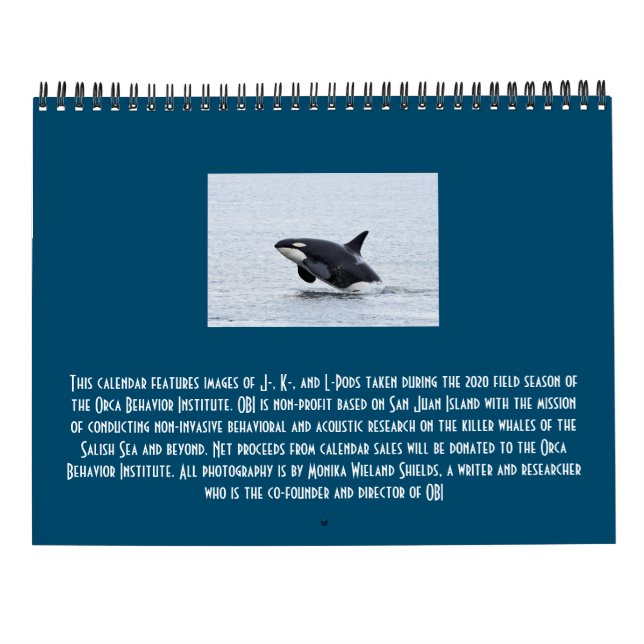 Kalender des südlichen Killerwals 2021 (Rückseite)