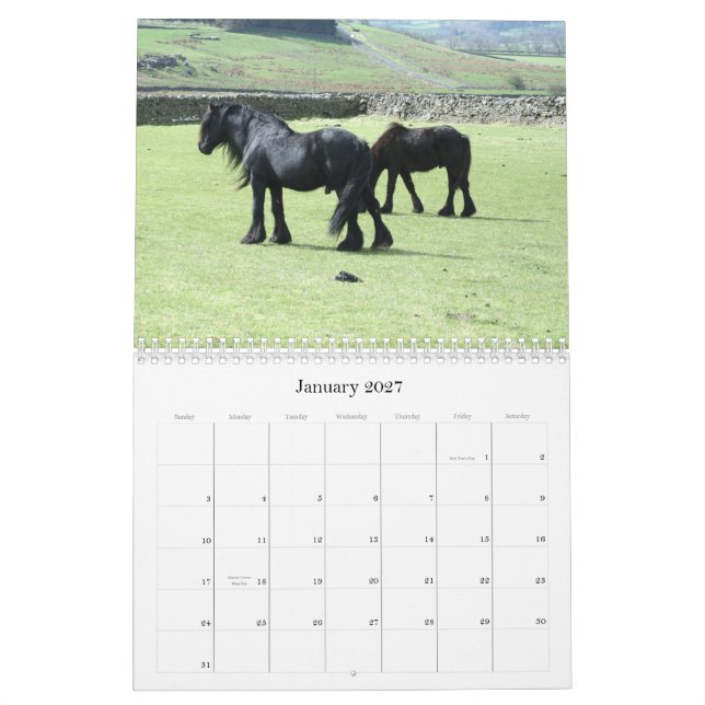 Kalender des Tal-Pony-2012 (Jan 2027)