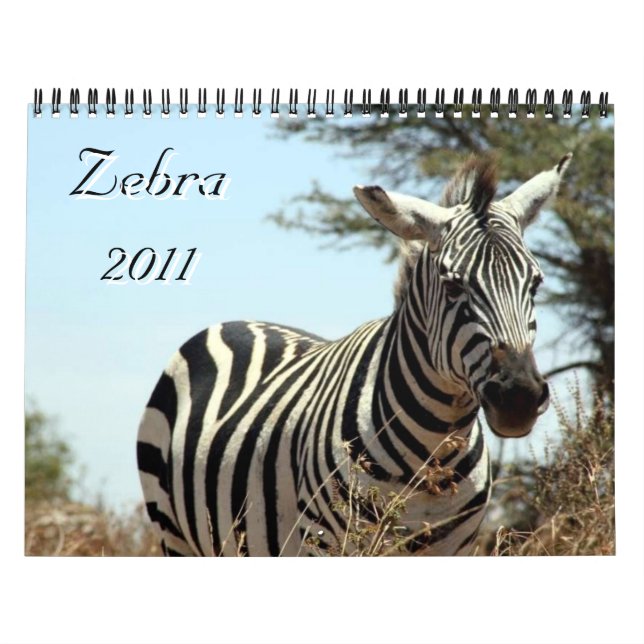 Kalender des Zebra 2011 (Titelbild)